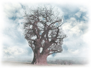 Психика и восприятие